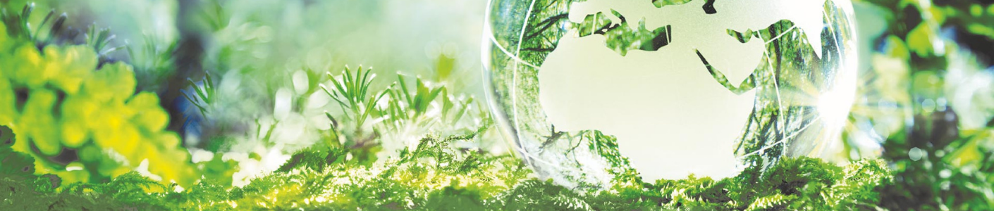 header_picture